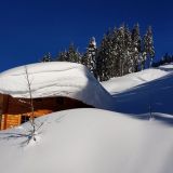 45 Bergerhof Winter